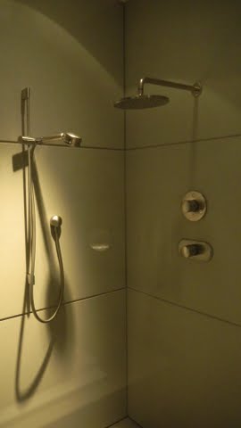 Hand-held-shower-head
