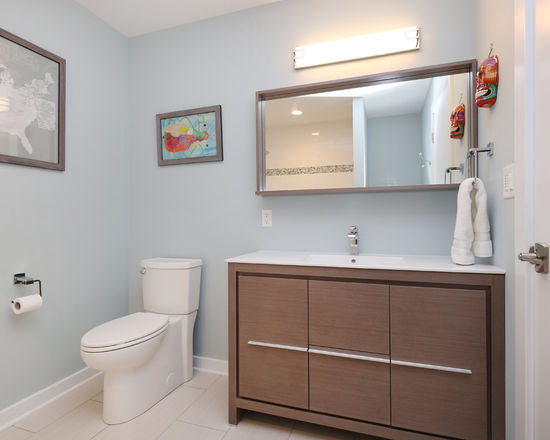 Thompson-remodeling-modern-and-clean-bath5