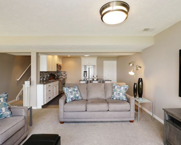 Thompson-Remodeling-Lakeside-Lower-Level-Remodel5.jpg